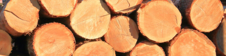 Carving Cedar Wood (Pros & Cons, Ideas & Tips)